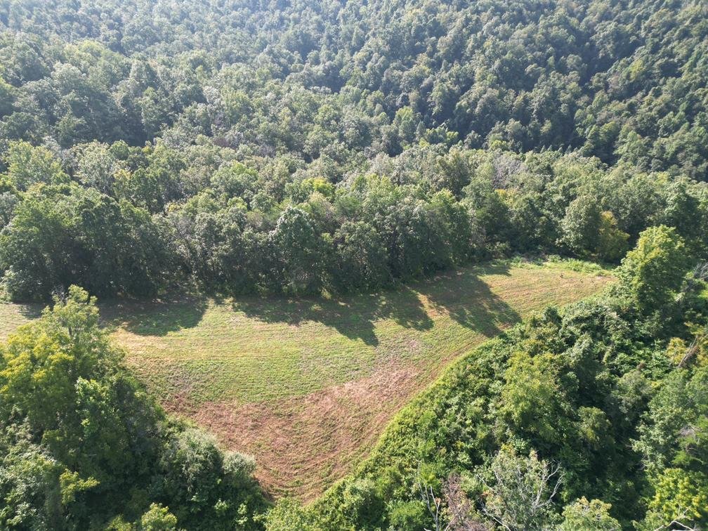 Image for Nearly 200 Acre Farm with Ranch Home in Mason County