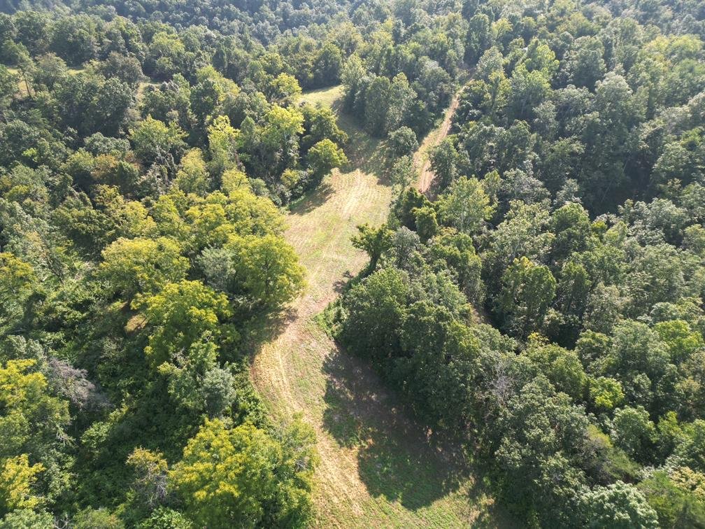 Image for Nearly 200 Acre Farm with Ranch Home in Mason County