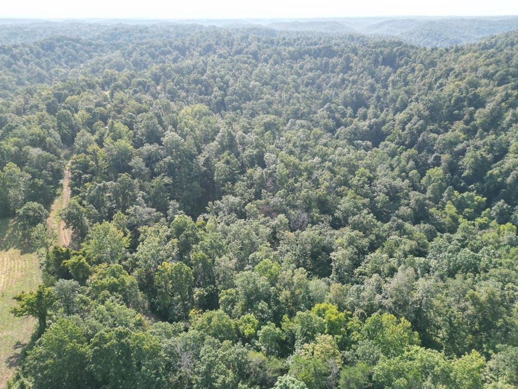 Image for Nearly 200 Acre Farm with Ranch Home in Mason County
