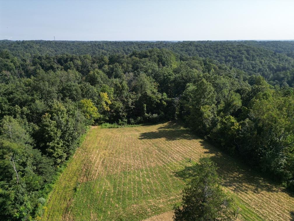 Image for Nearly 200 Acre Farm with Ranch Home in Mason County
