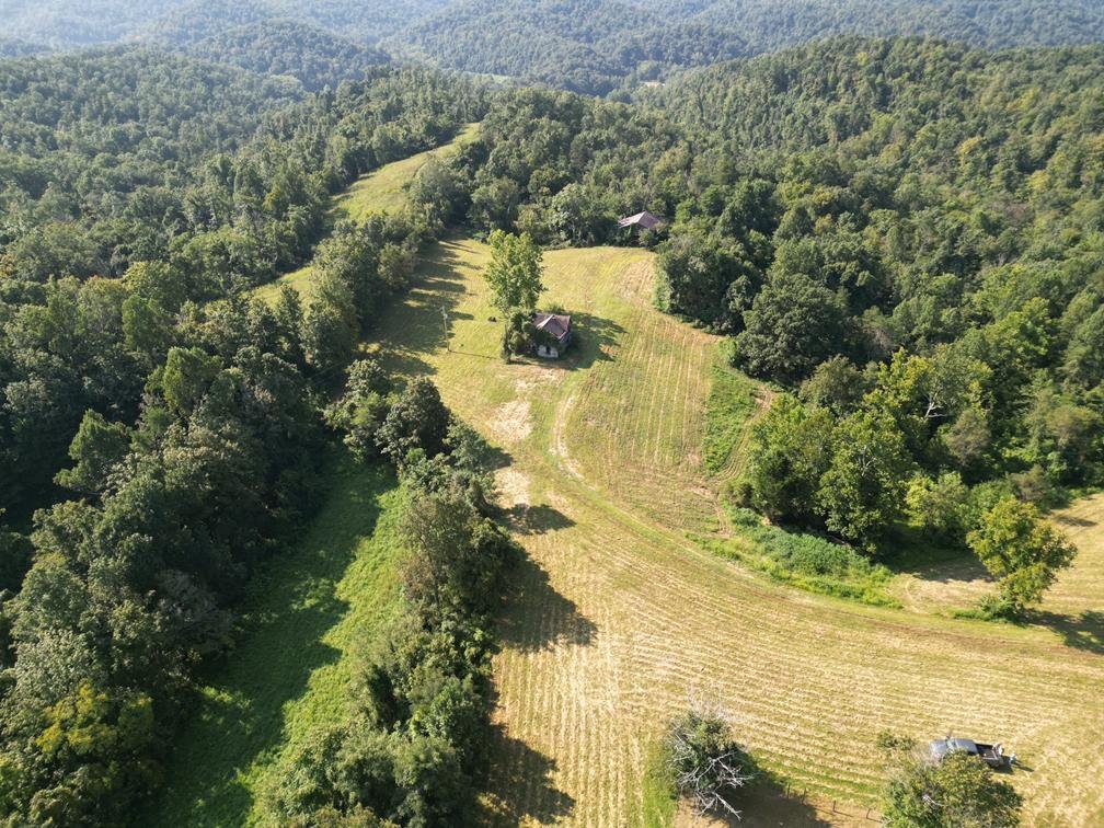 Image for Nearly 200 Acre Farm with Ranch Home in Mason County