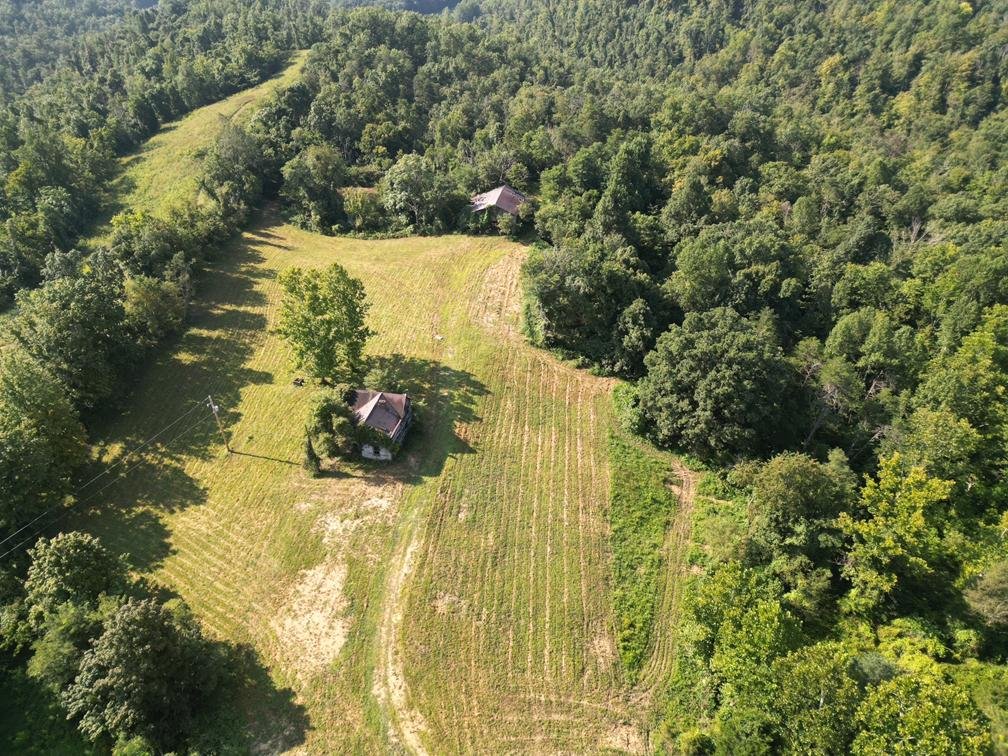 Image for Nearly 200 Acre Farm with Ranch Home in Mason County