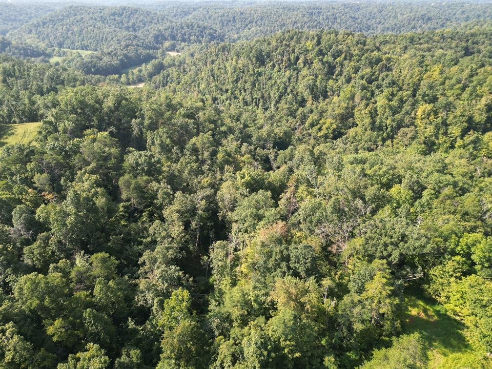 Image for Nearly 200 Acre Farm with Ranch Home in Mason County