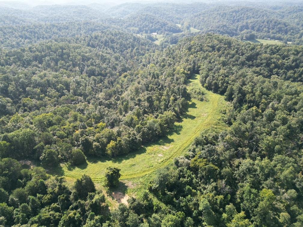 Image for Nearly 200 Acre Farm with Ranch Home in Mason County