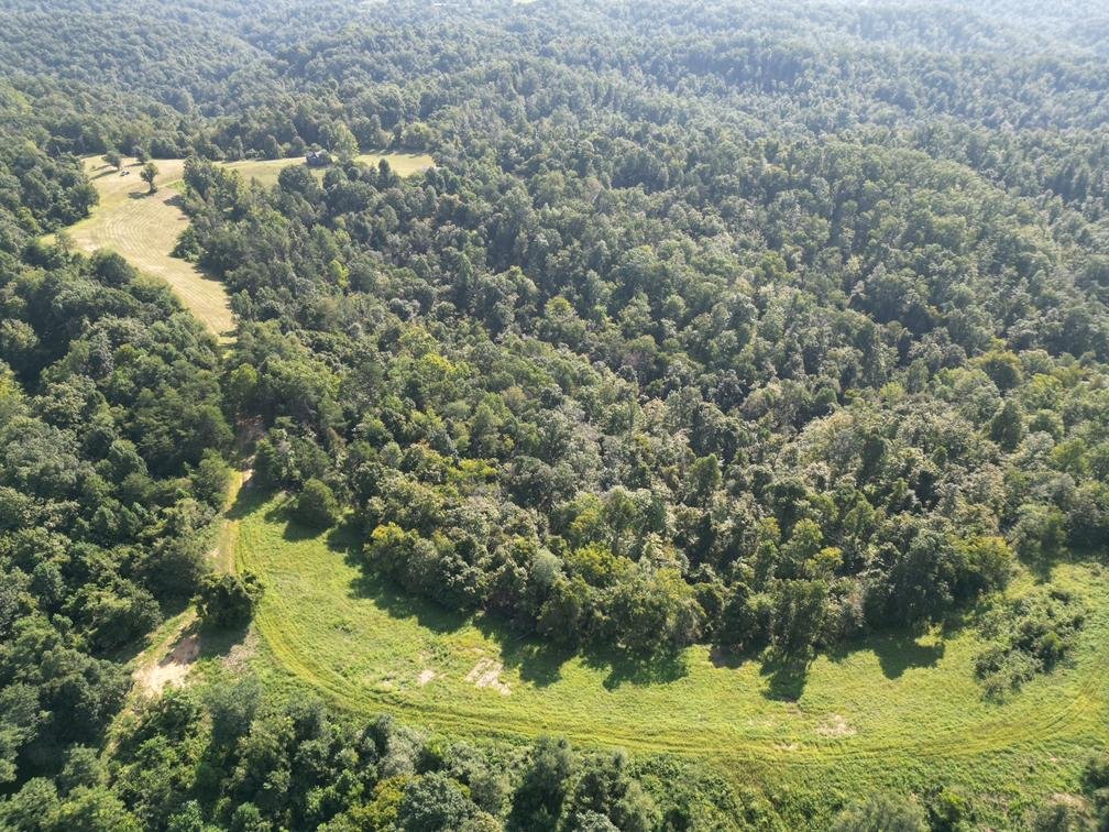 Image for Nearly 200 Acre Farm with Ranch Home in Mason County