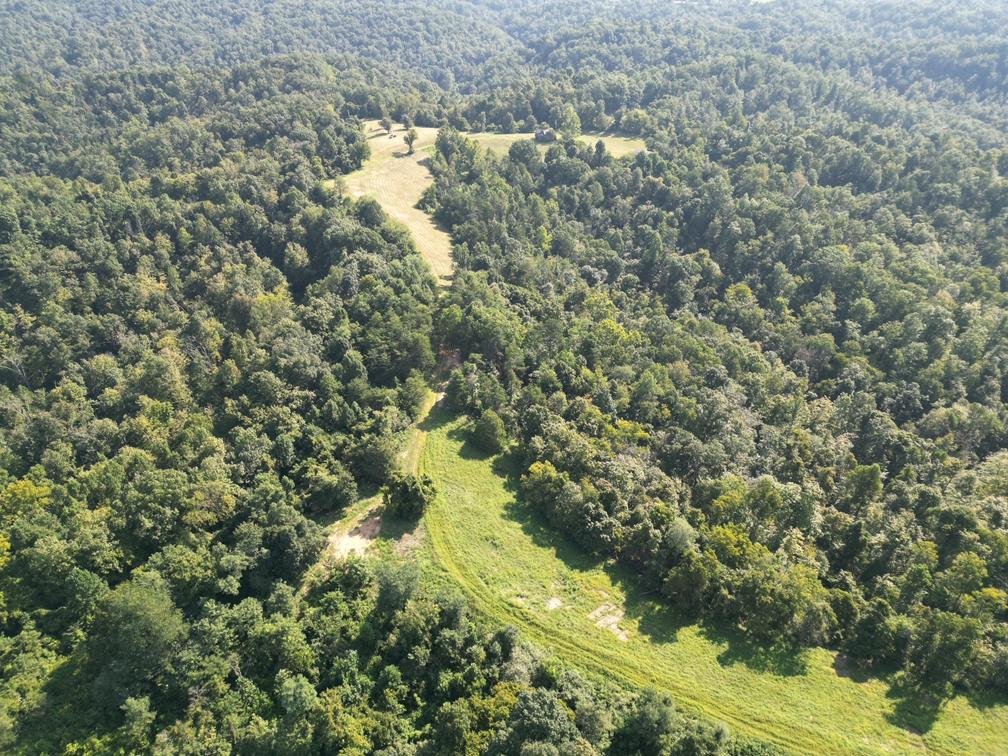 Image for Nearly 200 Acre Farm with Ranch Home in Mason County