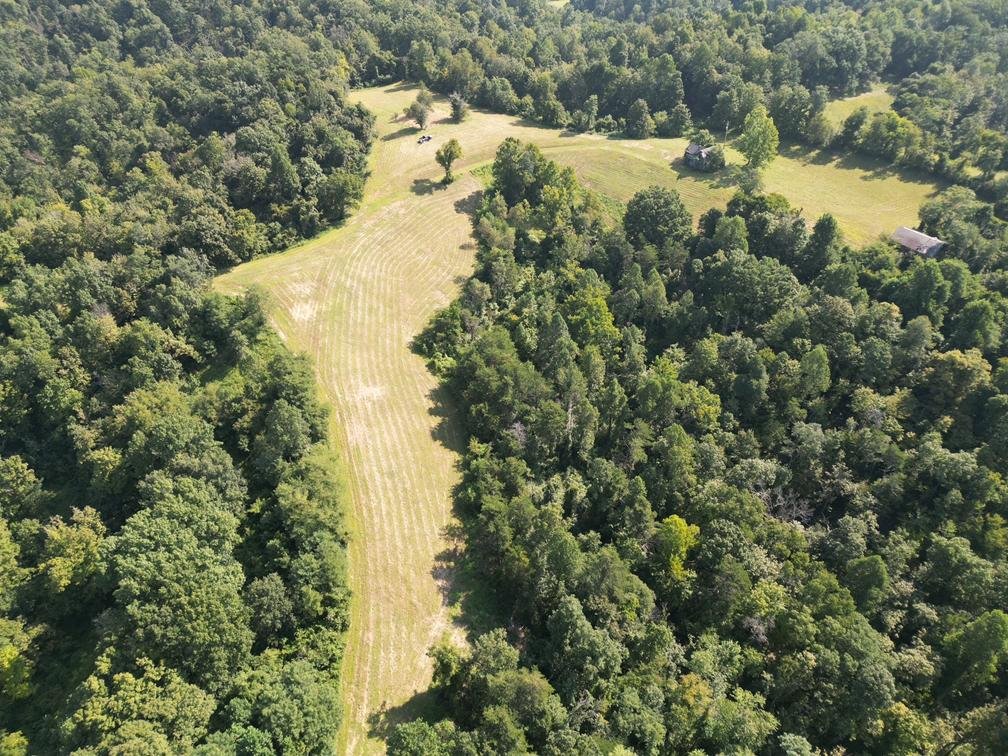 Image for Nearly 200 Acre Farm with Ranch Home in Mason County