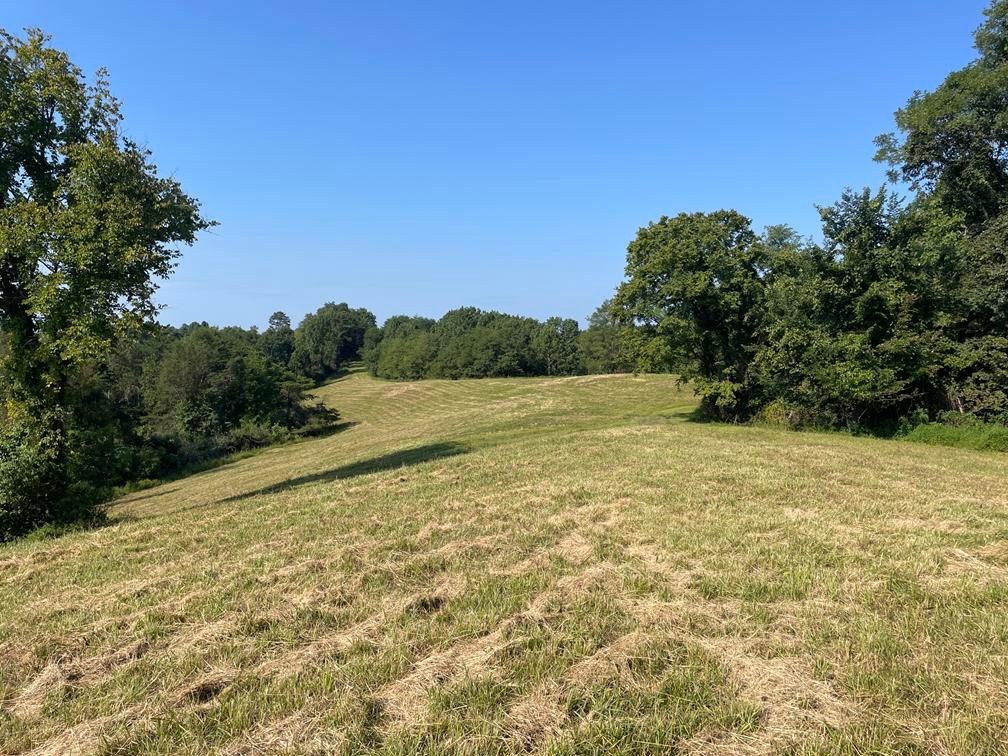 Image for Nearly 200 Acre Farm with Ranch Home in Mason County