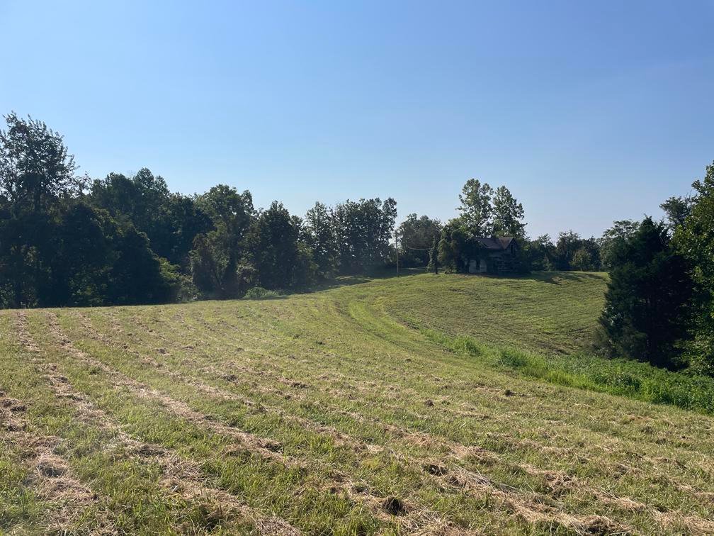 Image for Nearly 200 Acre Farm with Ranch Home in Mason County