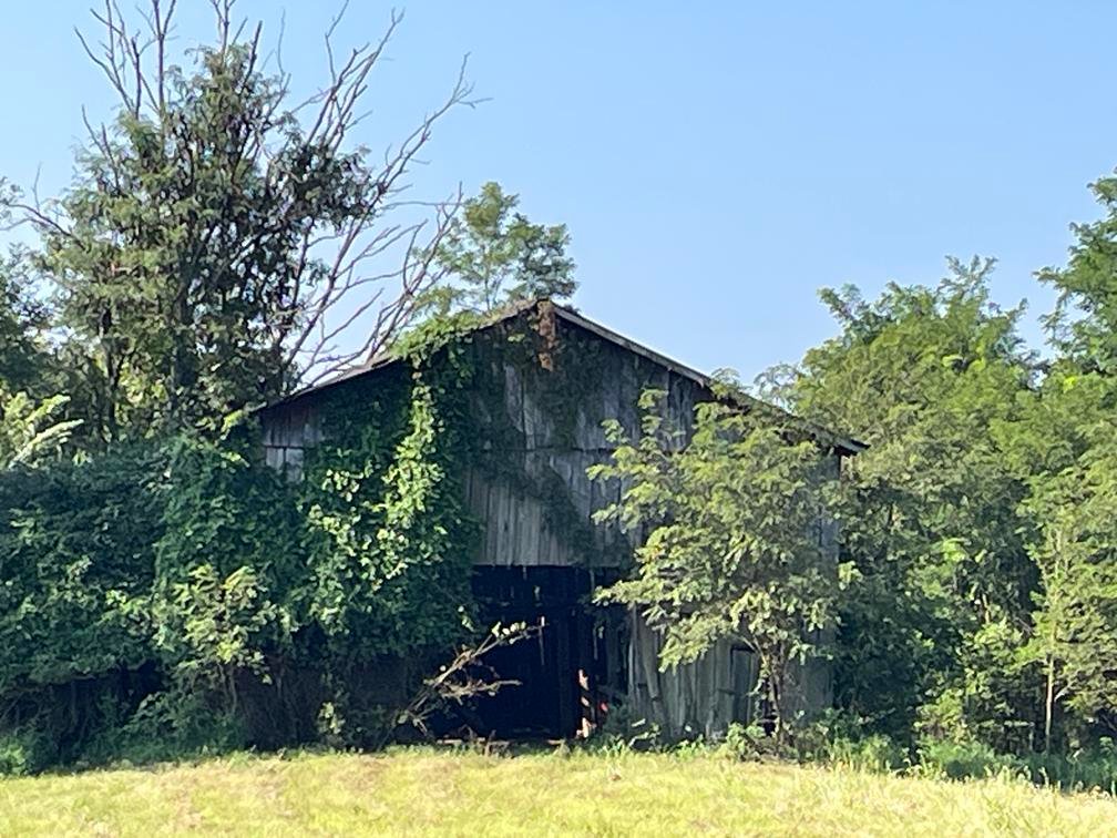 Image for Nearly 200 Acre Farm with Ranch Home in Mason County