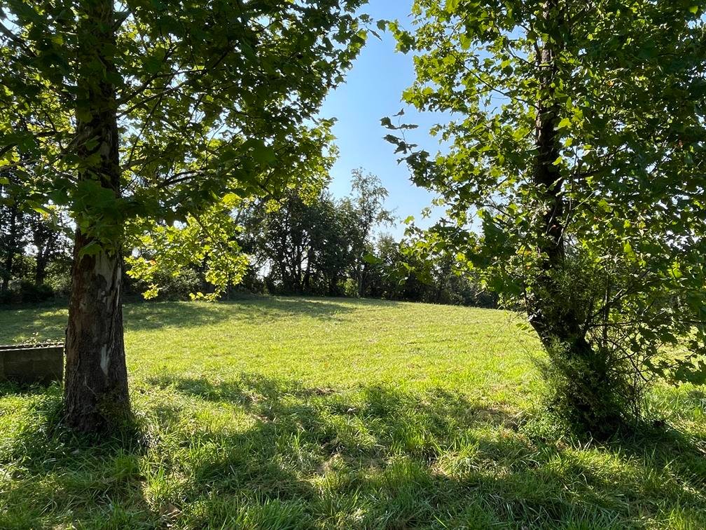 Image for Nearly 200 Acre Farm with Ranch Home in Mason County