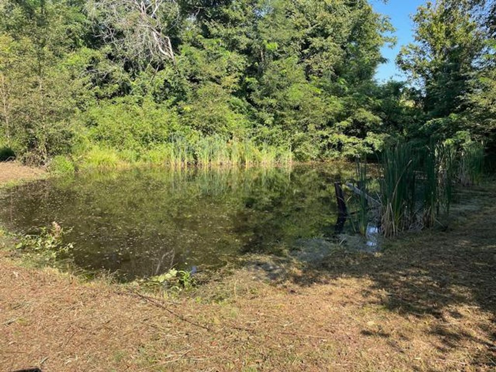 Image for Nearly 200 Acre Farm with Ranch Home in Mason County