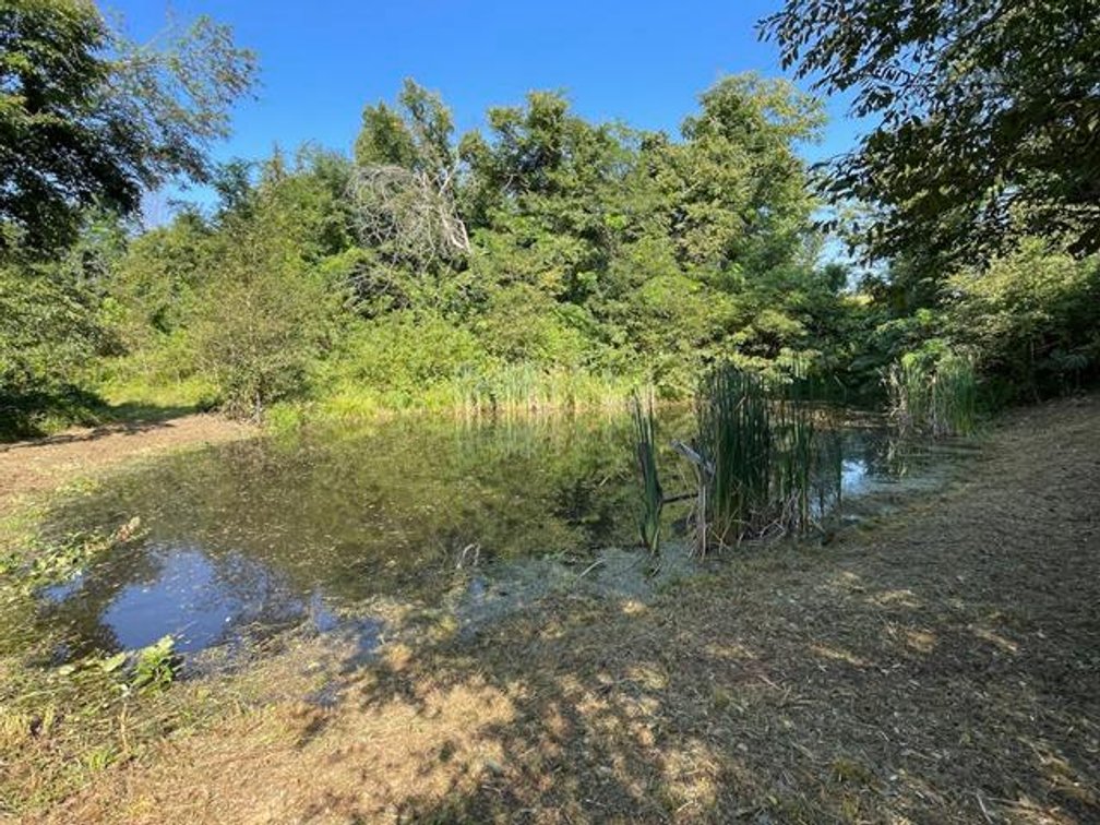 Image for Nearly 200 Acre Farm with Ranch Home in Mason County