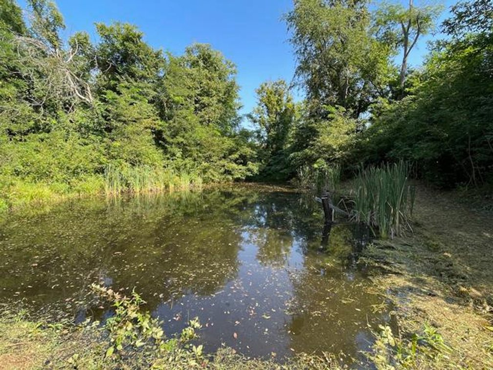 Image for Nearly 200 Acre Farm with Ranch Home in Mason County
