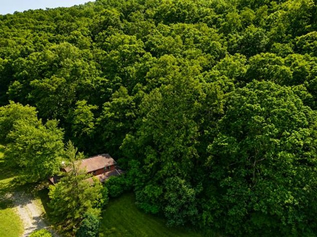 Image for Secluded 4 Bedroom Cabin on 7.7 Acres in Wayne County