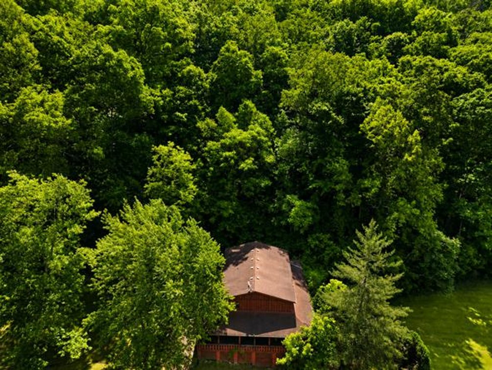 Image for Secluded 4 Bedroom Cabin on 7.7 Acres in Wayne County