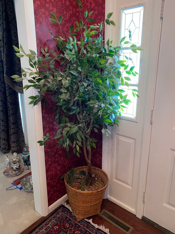 Artificial Tree