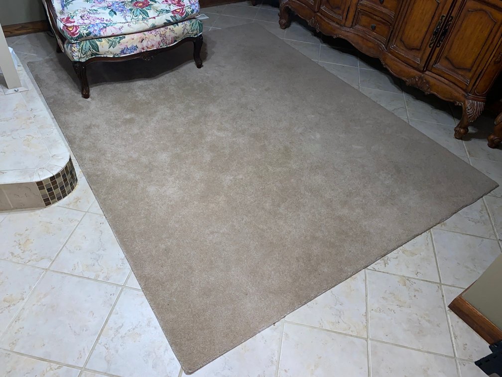 Area Rug