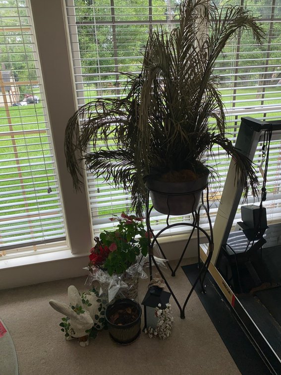 Plant Stand, Flower Pots, Artificial Flower Arrangement