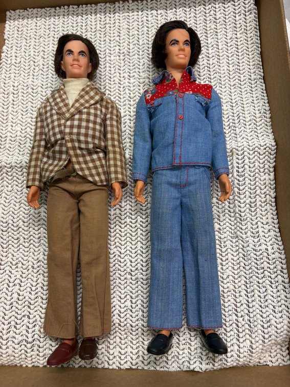 2 Mod Hair Ken dolls