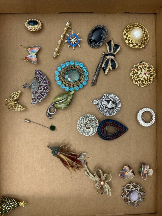 Ladies' costume-jewelry brooches