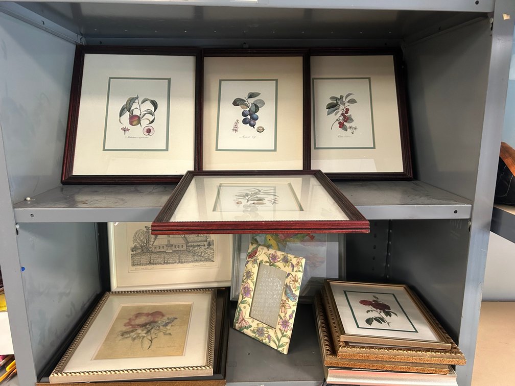 Framed floral prints