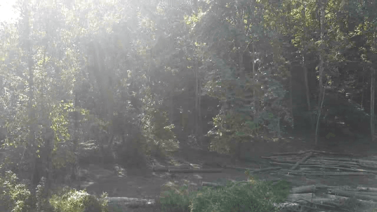 Image for 165 Surveyed Acres in Boone County