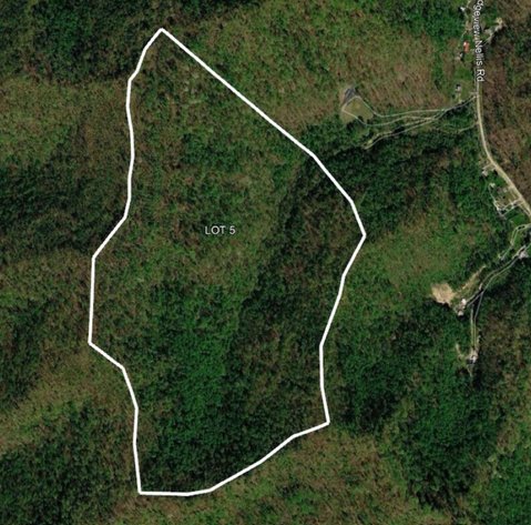 Image for 138 Surveyed Acres in Boone County Selling to the Highest Bidder