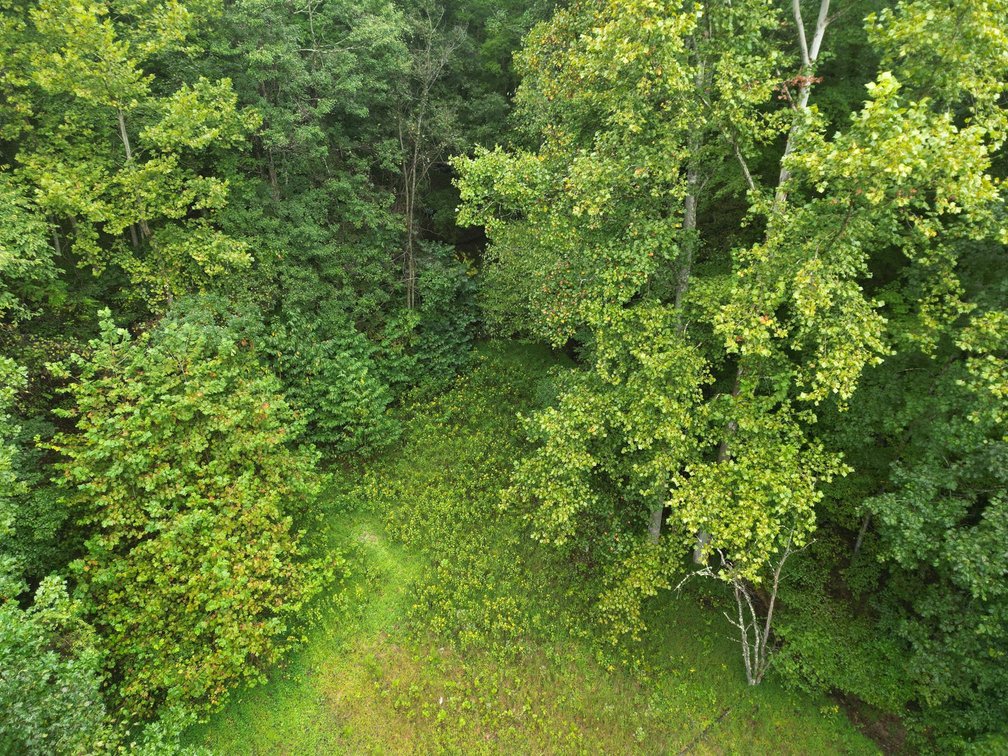 Image for Two Amish-Built Tiny Homes on 1.42 Acres in Elkview
