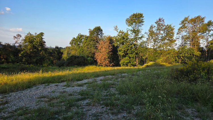 Image for 149 Wooded Acres in Fayette County Pennsylvania