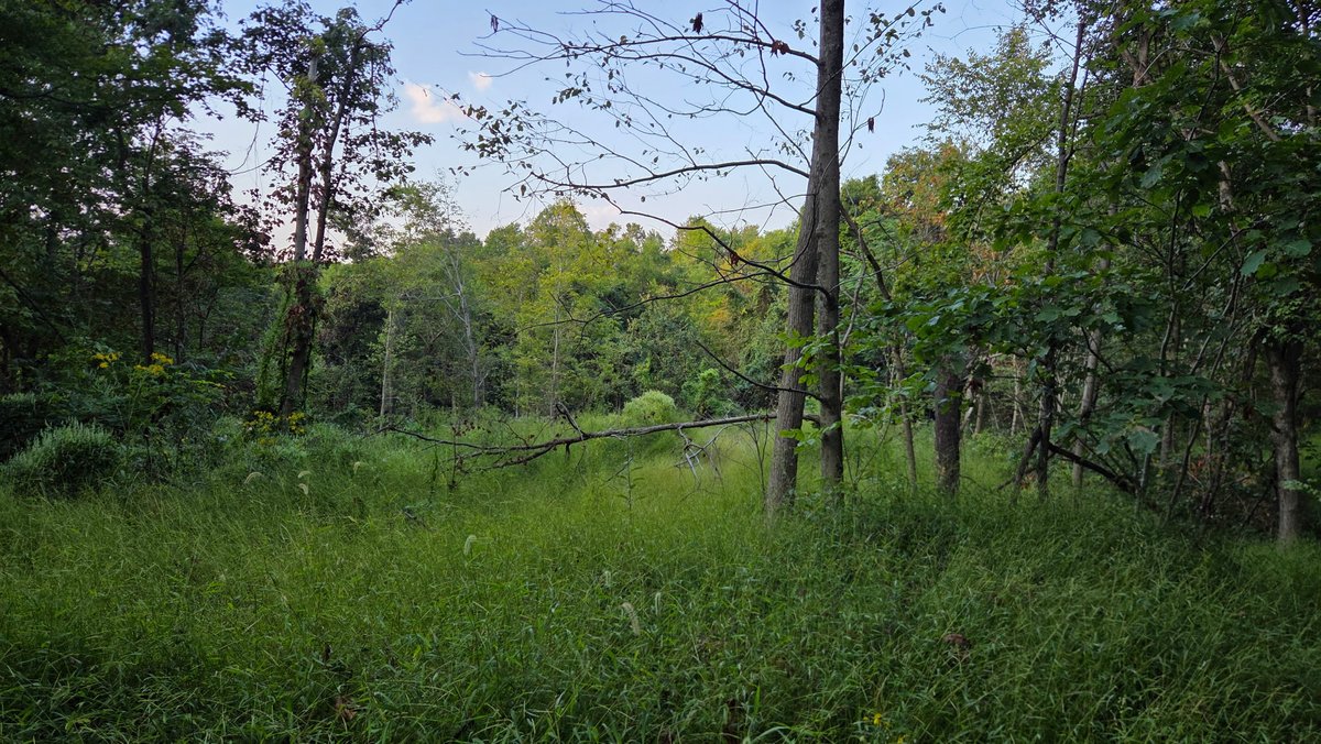 Image for 149 Wooded Acres in Fayette County Pennsylvania