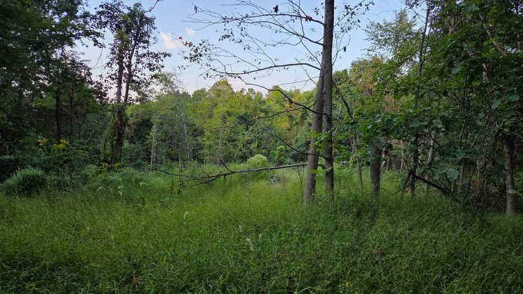 Image for 149 Wooded Acres in Fayette County Pennsylvania