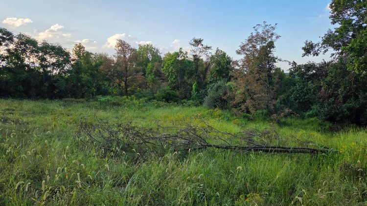 Image for 149 Wooded Acres in Fayette County Pennsylvania