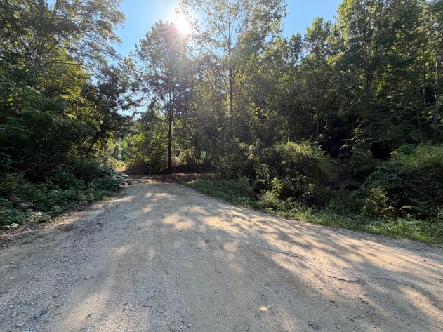 Image for 138 Surveyed Acres in Boone County Selling to the Highest Bidder