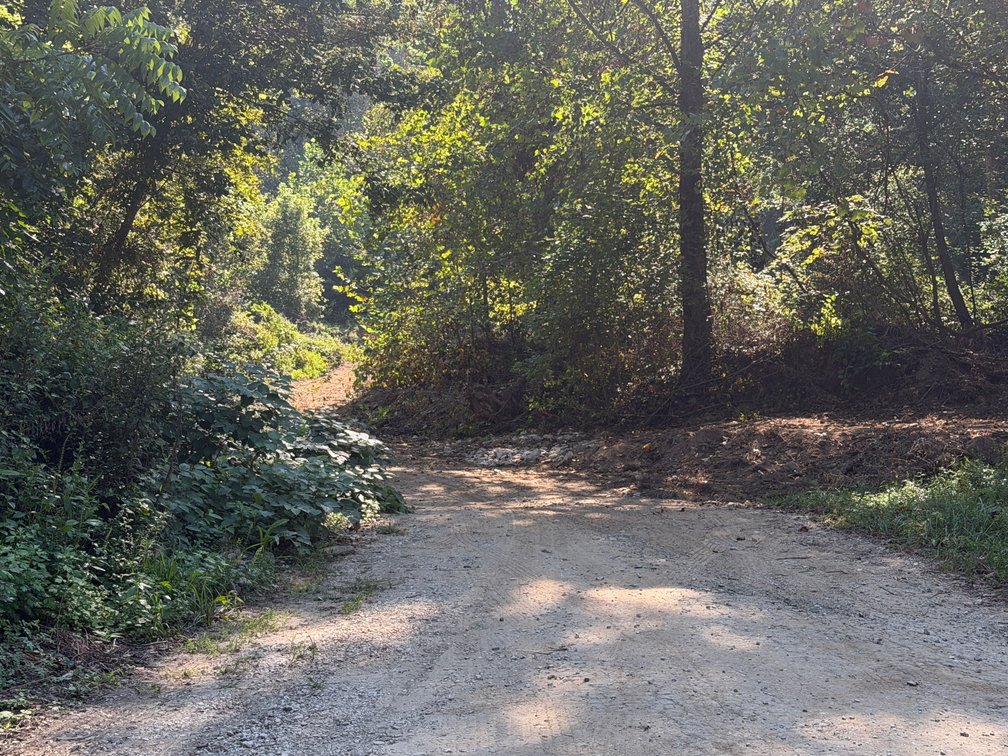 Image for 138 Surveyed Acres in Boone County Selling to the Highest Bidder
