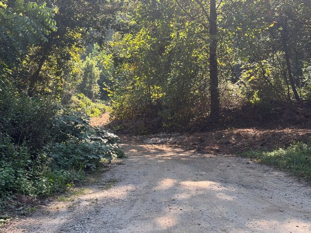 Image for 138 Surveyed Acres in Boone County Selling to the Highest Bidder