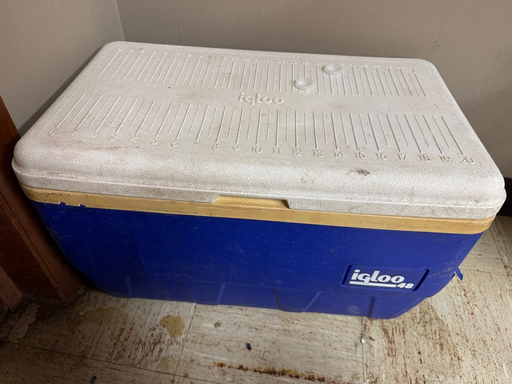 Igloo cooler