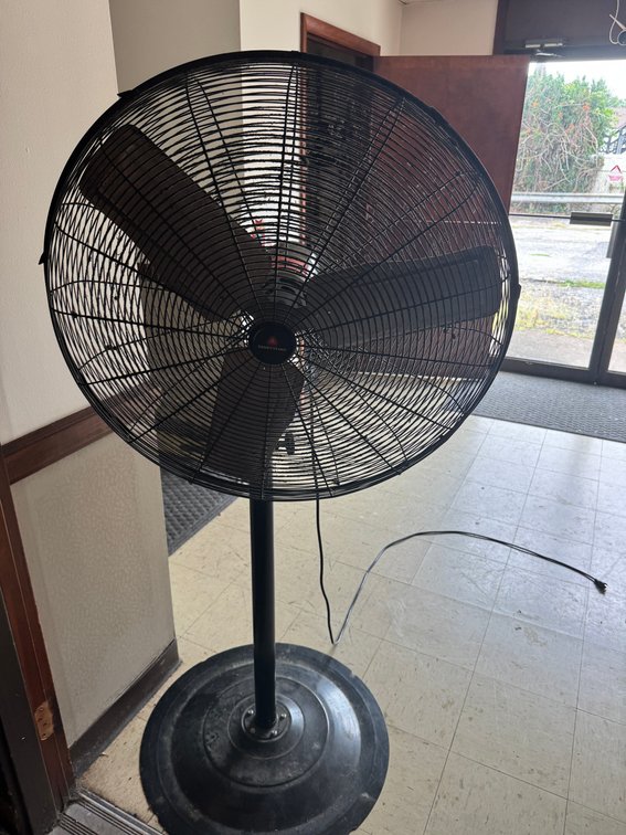 Pedestal floor fan