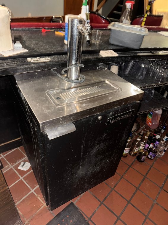 Draft beer cooler/server