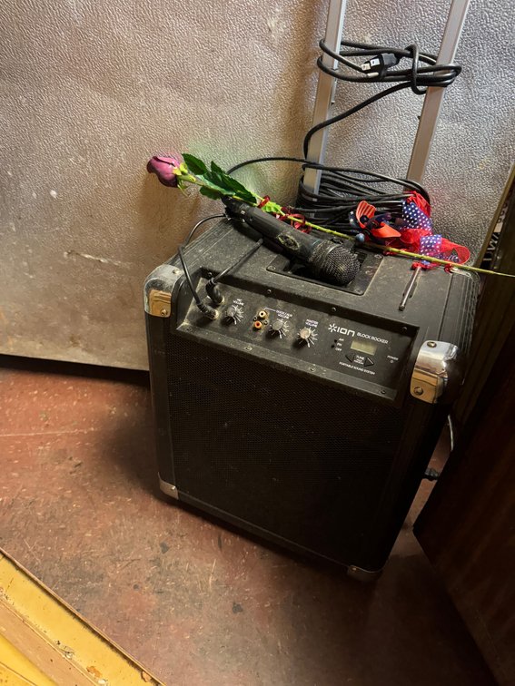 Portable sound system/microphone