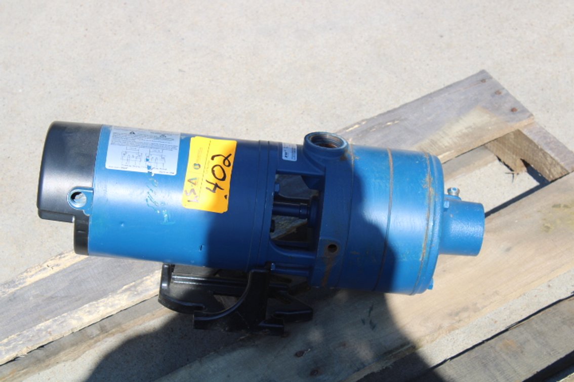 Flint & Walling Water Pump