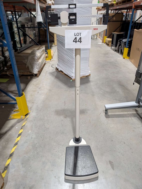 Scale