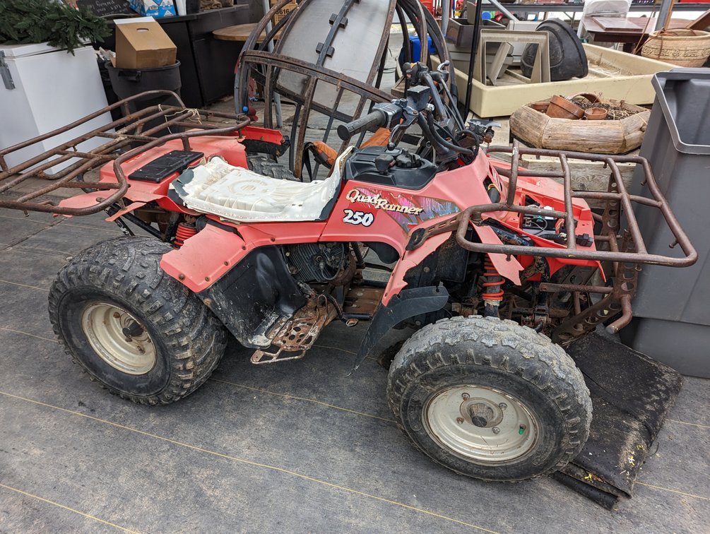 Suzuki Quadrunner 250