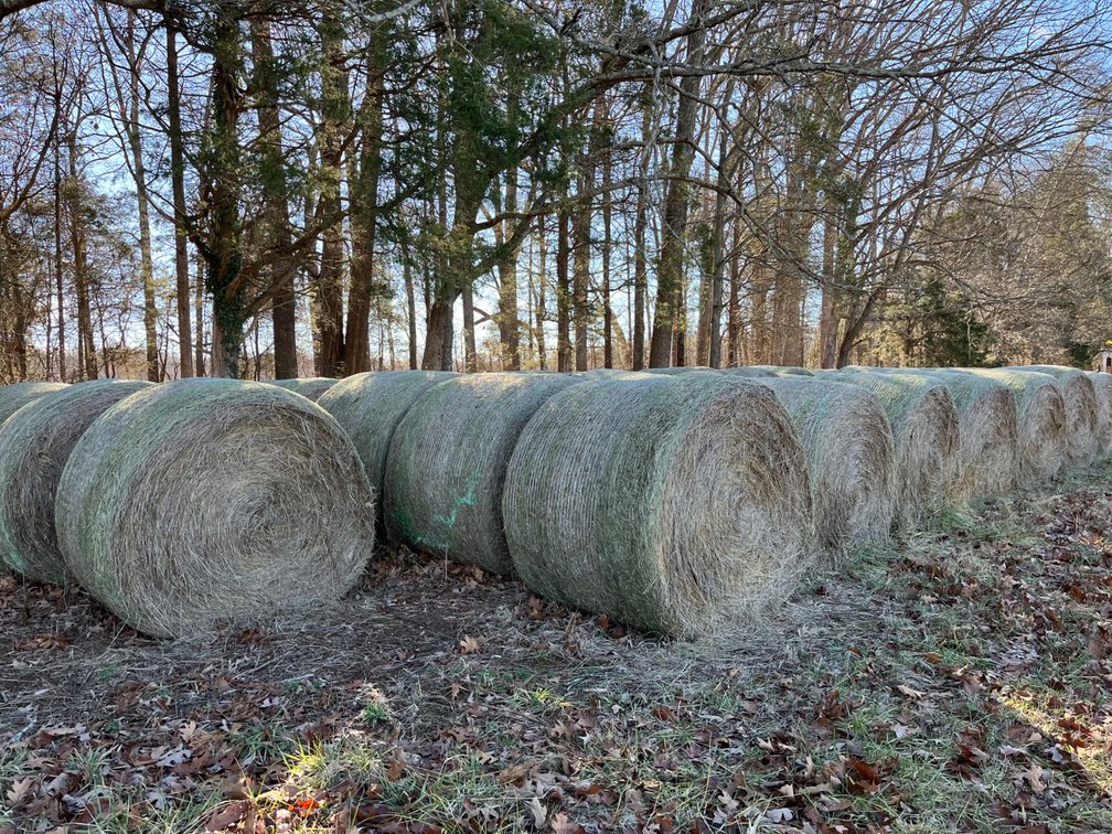 (38) Rolls Grass Hay