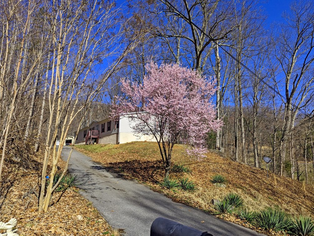 Image for Four Bedroom Home on 1.3 +/- Acres Near Vinton VA