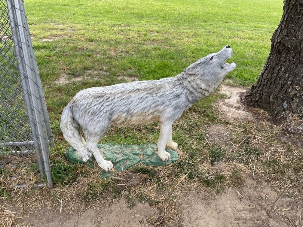 Concrete Wolf