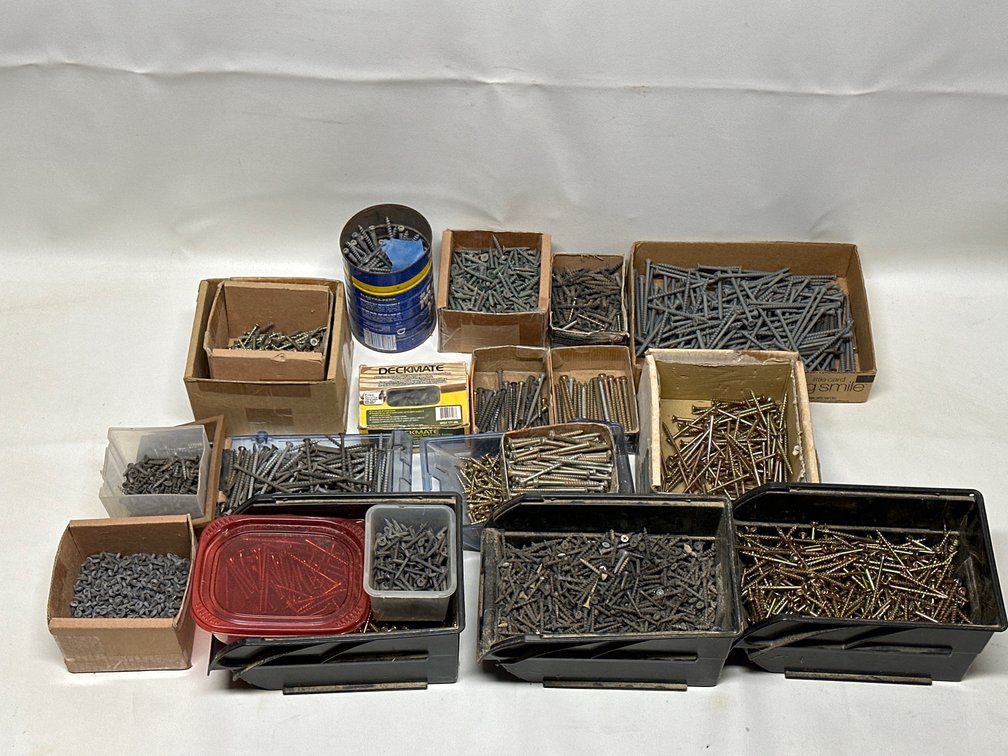 Large Screw Lot
