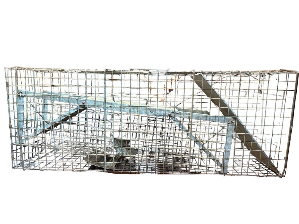 Animal Traps Set of 2 