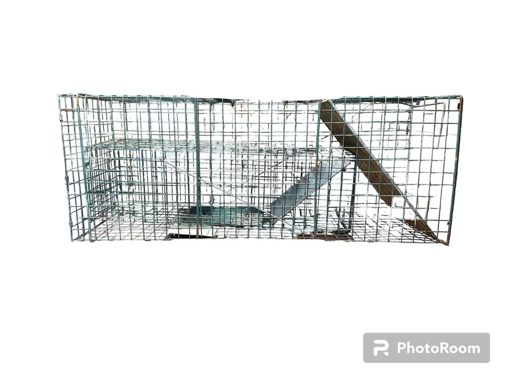 Animal Traps Set of 2