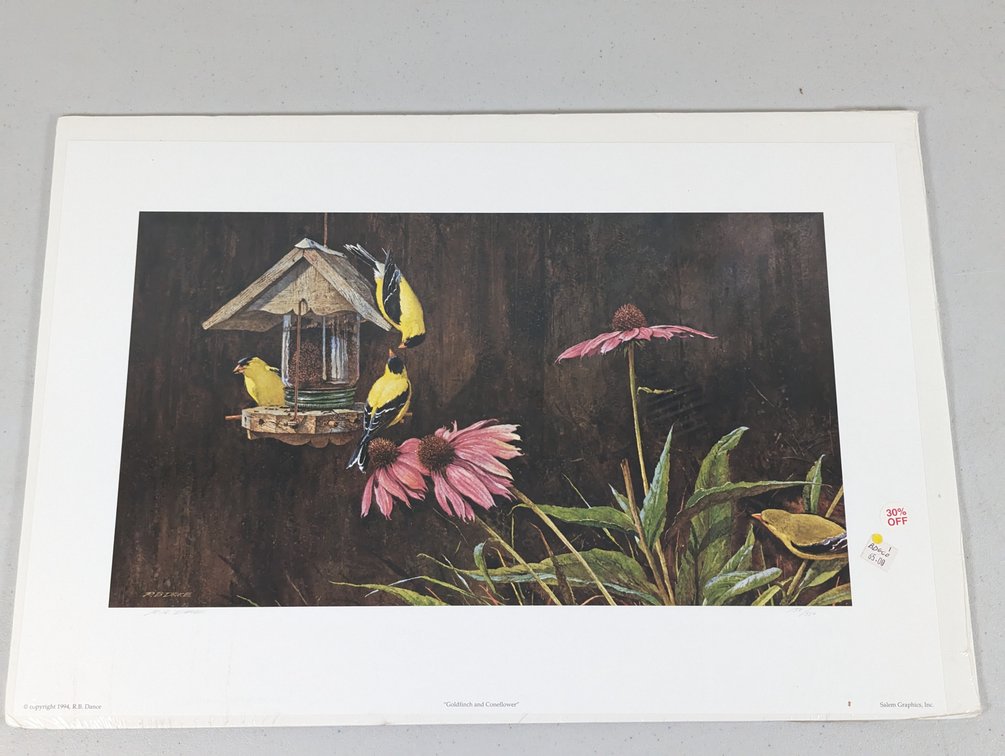 Goldfinch and Coneflower